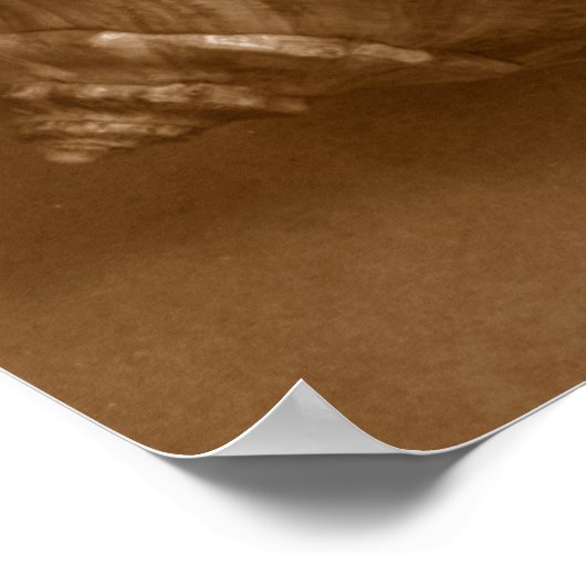 Sensual Shells Poster (Hoek)