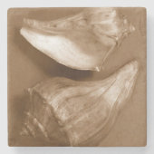 Sensual Shells Stenen Onderzetter (Voorkant)