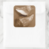 Sensual Shells Vierkante Sticker (Tas)