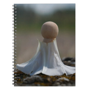 Sensueel gehuld poppetje in een bloemen jurkje. notitieboek