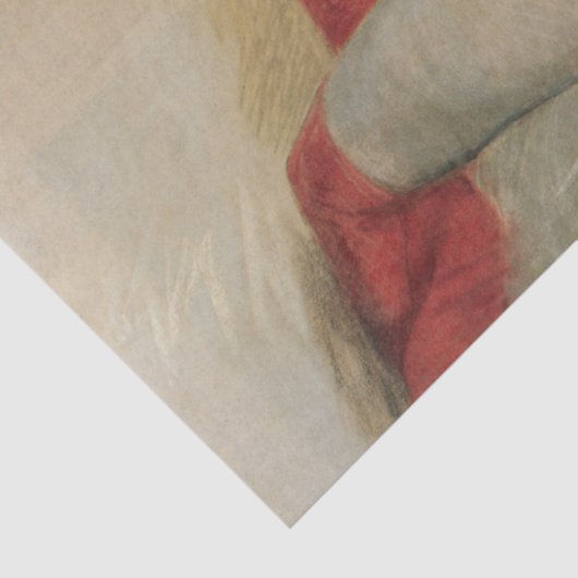 Sensueel Vrouw Beauty met Rode Kousen Tissuepapier (Detail)