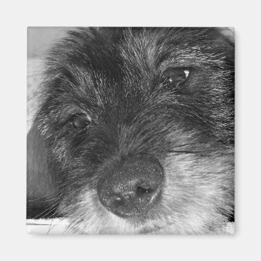 Sentimentaal Magneet (Voorkant)