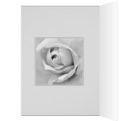 Sentimental Custom White Rose (Binnen (Links))