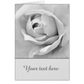 Sentimental Custom White Rose (Voorkant)