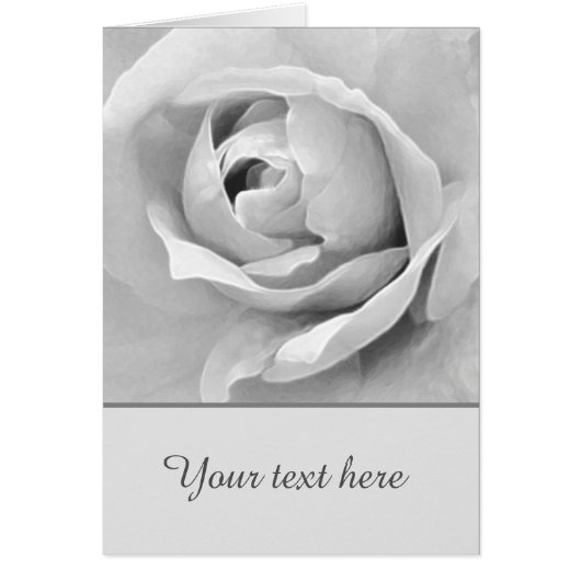 Sentimental Custom White Rose (Voorkant)