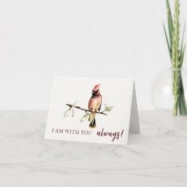Sentimenteel ben ik altijd bij je, Red Cardinal Kaart