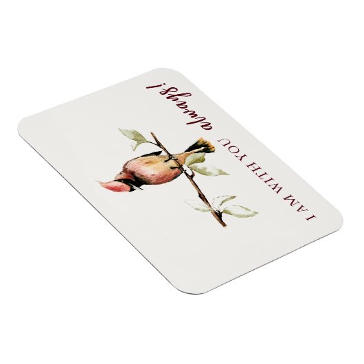 Sentimenteel ben ik altijd bij je, Red Cardinal Magneet (Rechterzijde)