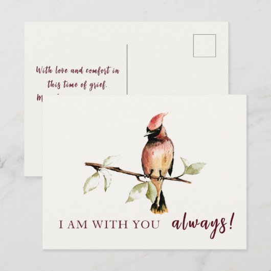 Sentimenteel ben ik altijd bij je Rode Kardinaal Briefkaart (Voorkant / Achterkant)