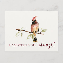 Sentimenteel ben ik altijd bij je Rode Kardinaal Briefkaart