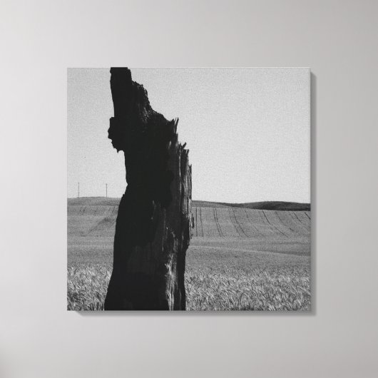 Sentinaal Canvas Afdruk (Voorkant)