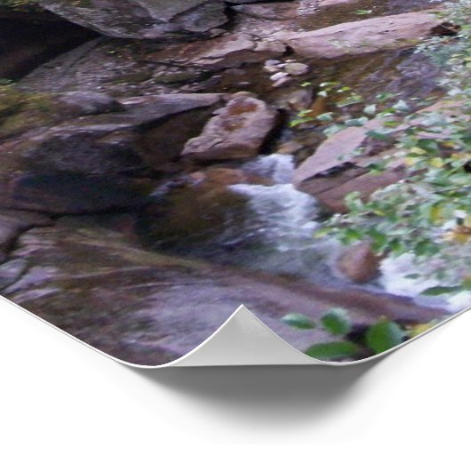 Sentinel Bridge Herfst Foliage Poster (Hoek)