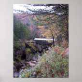 Sentinel Bridge Herfst Foliage Poster (Voorkant)