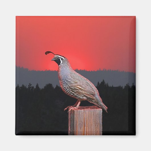SENTINEL IN SUNSET MAGNEET (Voorkant)