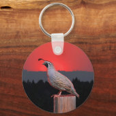 SENTINEL IN SUNSET SLEUTELHANGER (Voorkant)