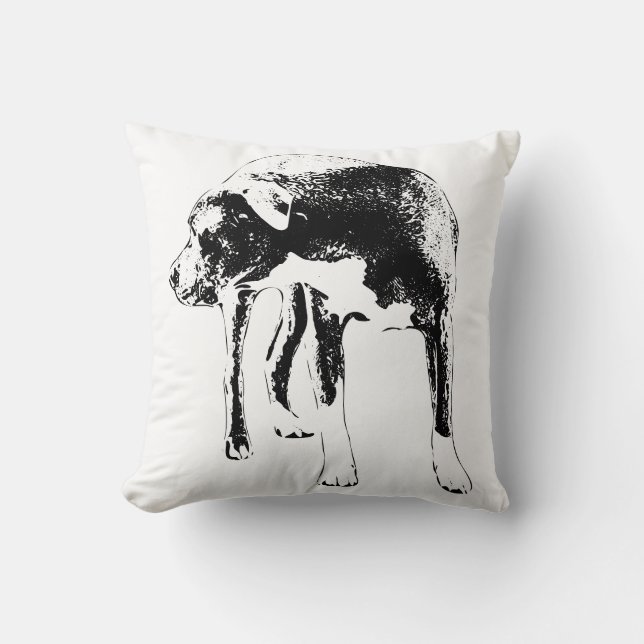 Sentinel lantaarnpad kussen (Voorkant)