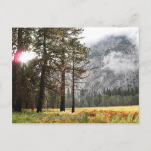 Sentinel Meadow Briefkaart