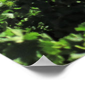 Sentinel over de wijngaard poster (Hoek)