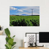 Sentinel over de wijngaard poster (Thuiskantoor)