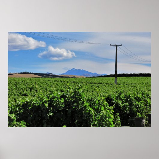 Sentinel over de wijngaard poster (Voorkant)