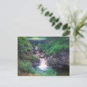Sentinel Pine Bridge Flume Gorge Briefkaart (Staand voorkant)