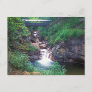 Sentinel Pine Bridge Flume Gorge Briefkaart