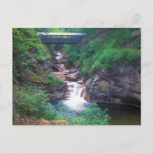Sentinel Pine Bridge Flume Gorge Briefkaart (Voorkant)