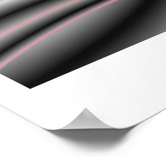 SENTINEL POSTER (Hoek)