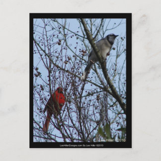 Sentinels Blue Jay en Cardinaal van Lee Hiller Briefkaart