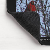 Sentinels Blue Jay en Cardinaal van Lee Hiller Muismat (Hoek)