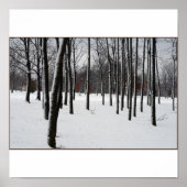 SENTRIES POSTER (Voorkant)