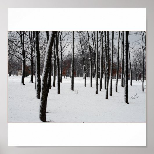 SENTRIES POSTER (Voorkant)