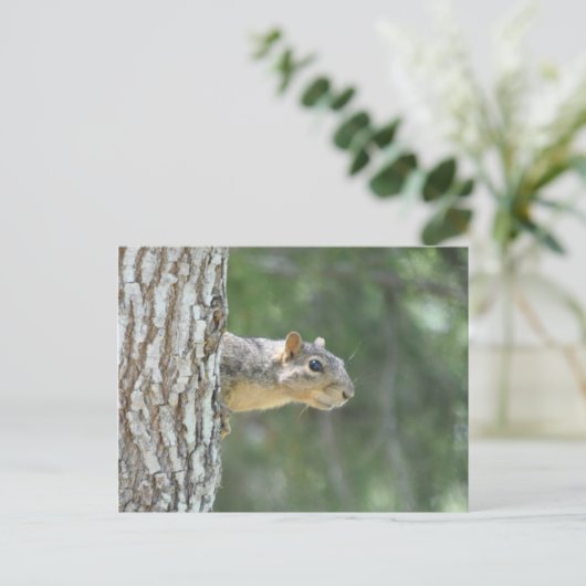 "Sentry" eekhoorn Briefkaart (Staand voorkant)