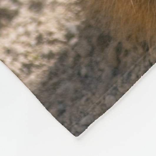 Sentry-in-training fleece Blanket (Hoek)