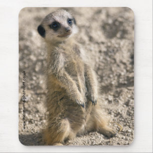 Sentry in Training Mousemat Muismat