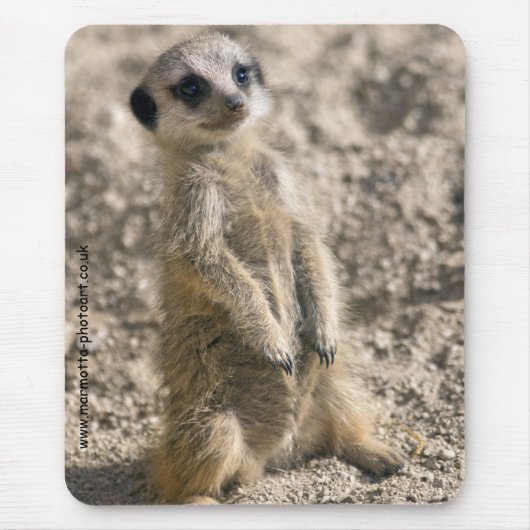 Sentry in Training Mousemat Muismat (Voorkant)