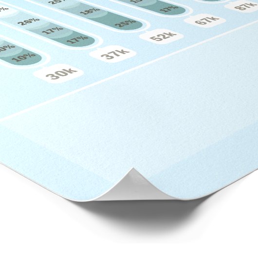 SEOmoz 2010 Industry Survey Poster (Hoek)