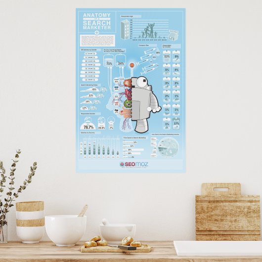 SEOmoz 2010 Industry Survey Poster (Keuken)