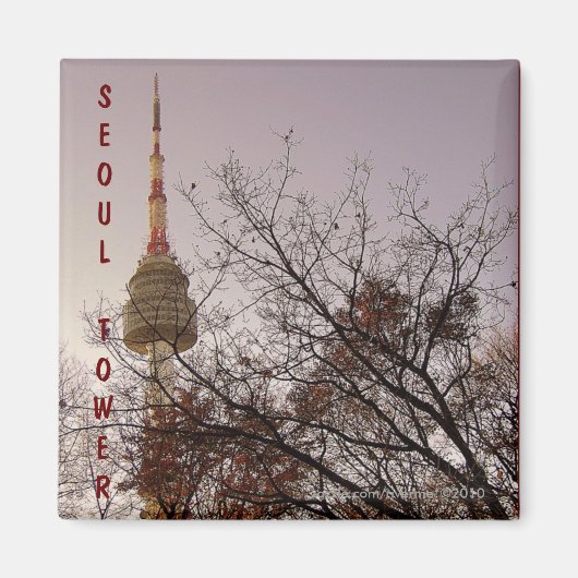 Seoul Tower/ Namsan Park, Seoul, Zuid-Korea Magneet (Voorkant)