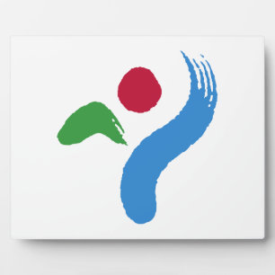 Seoul Vlag Plaquette Fotoplaat