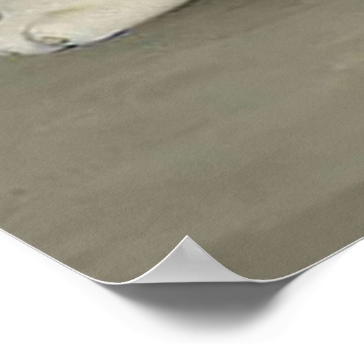 Sepentom the My Talking and Vrienden Tom 2 2021 Poster (Hoek)