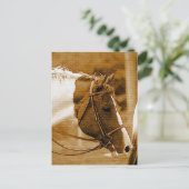 Sephia Horse Mosaics Briefkaart (Staand voorkant)