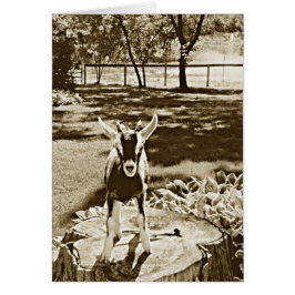 Sepia Afbeelding van bepaalde Baby