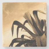 Sepia Aloe Plant Foto Stenen Onderzetter (Voorkant)