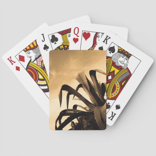 Sepia Aloë Plant Pokerkaarten (Achterkant)