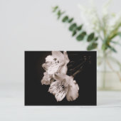 Sepia Alstroemeria Lily Briefkaart (Staand voorkant)
