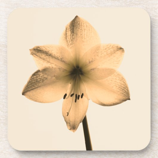 sepia amaryllis bier onderzetter (Voorkant)