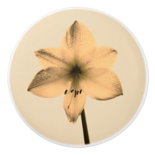 Sepia amaryllis keramische knop