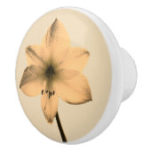 Sepia amaryllis keramische knop (Rechts)
