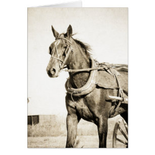Sepia Amish Horse and Buggy
