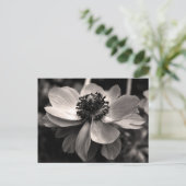 Sepia Anemone Floral Photography Briefkaart (Staand voorkant)